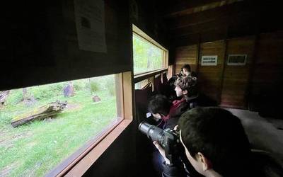 Bertizko faunaren behatoki ‘gordelekura' hurbiltzea, publiko guztientzako proposamena