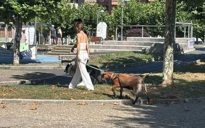 Batzuk ahuntza paseatzen, bestea erosketak zaldi gainean egiten