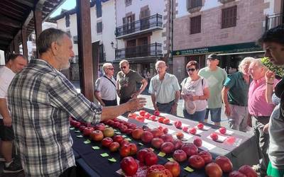 47 tomate buru aurkeztu zituzten Doneztebeko lehiaketan