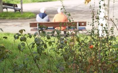 Teknoadinekok prestakuntza saioak antolatu ditu