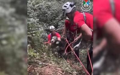[BIDEOA]: Leize-zulo batera jausitako txakur biren erreskatea iruditan