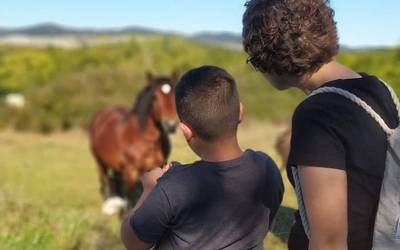 Biak Bat elkarteak animaliek lagundutako terapiarako beken deialdia egin du