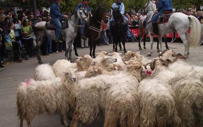 Euskal Artzainak Ameriketan Elkartearen hondarreko besta eginen dute igandean Lesakan