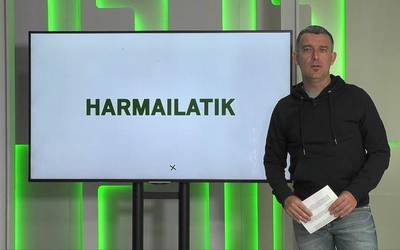 'Harmailatik': Eztala berrituko lehen partidua; Amarians errugbi torneoa; Jesus Mujika Errastiren liburu aurkezpena
