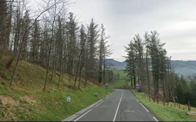 Auto istripua Bergara eta Elgeta arteko errepidean; ibilgailu batek bi asto jo ditu