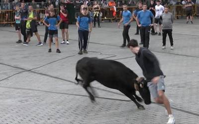 Bigantxaren aurrean batzuk, atzean besteak, eta gustura guztiak