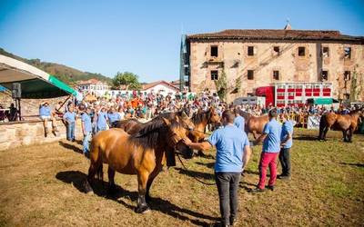 Burgete arrazako zaldi eta behorren XIV. Lehiaketa eginen dute igandean Urdazubin