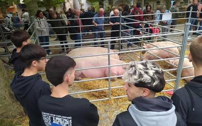 Etxarriko Ferietan, herriko aziendako 116 buru