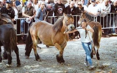 631. azokak jaietan murgilduko du Agurain