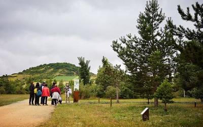 Flora kontserbatzeko nazioarteko erakunde batean sartu da Olarizu