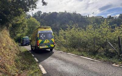 Basurdeak zauritu zuen emakumea oneratzen