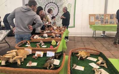 Dastatu Urriaren edizio berri bat ospatuko da urriaren 23tik 25era Gorlizen