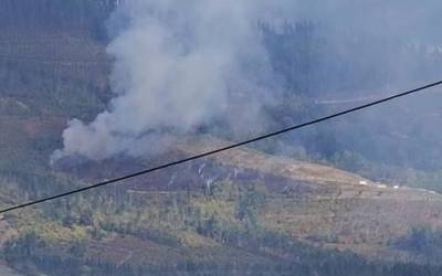 Bi hektarea erre dira Bergarako San Juan auzoko sutean