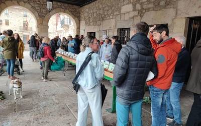 Perretxiko Eguna eta Galeuskal Jaia ospatuko dituzte Otxandion