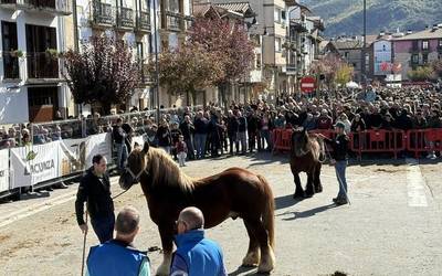 Zelai kalea Sakanako zaldi aziendaren erakusleiho bihurtuta