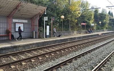 Tren zerbitzua eten dute Laudio eta Urduña artean, matxura baten ondorioz